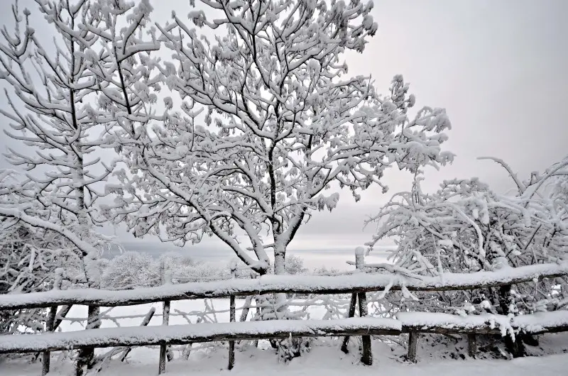 Neve in Maddalena