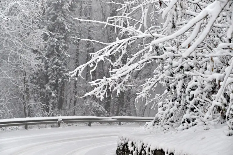 Neve in Maddalena