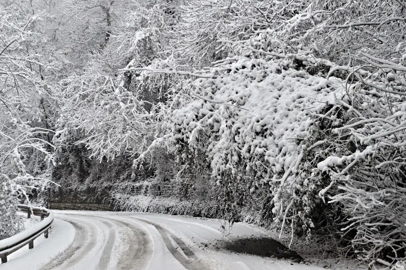 Neve in Maddalena