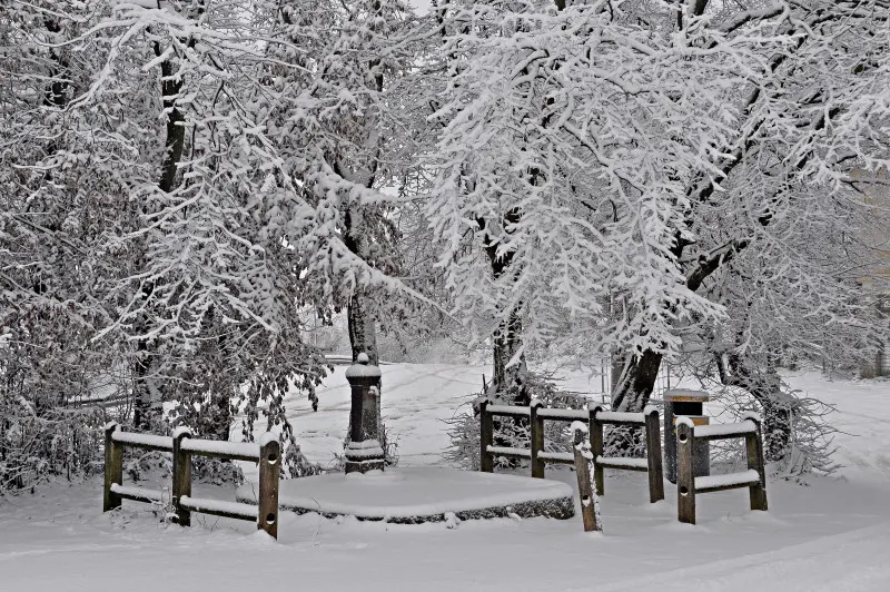 Neve in Maddalena