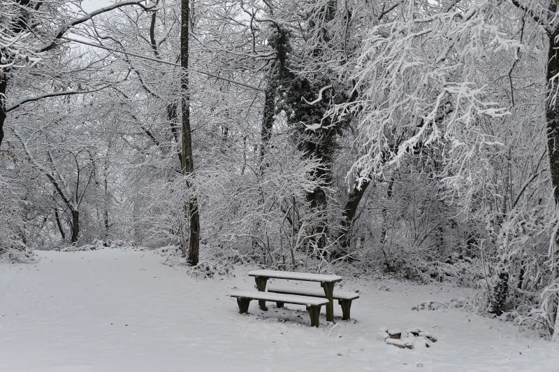 Neve in Maddalena