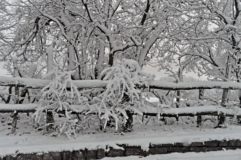 Neve in Maddalena