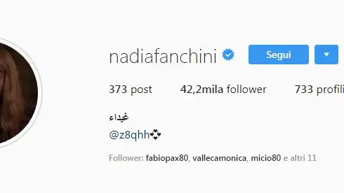 Come si presenta il profilo Instagram di Nadia Fanchini - Foto tratta da Instagram
