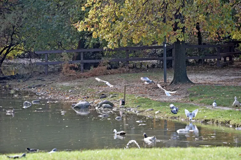 Parco Ducos, inaugurazione della targa che ricorda la sua nascita