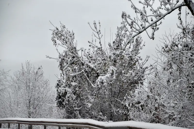 Neve in Maddalena