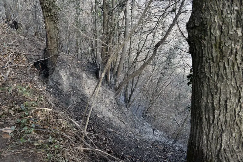 Polaveno, fiamme nei boschi di Santa Maria del Giogo