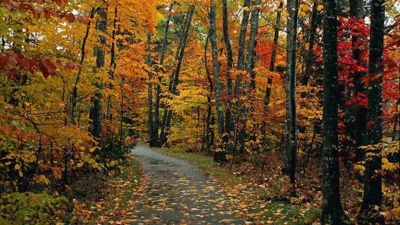 In Parco delle Colline in autunno - © www.giornaledibrescia.it