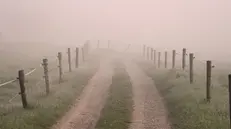 Non c'è più la nebbia di una volta