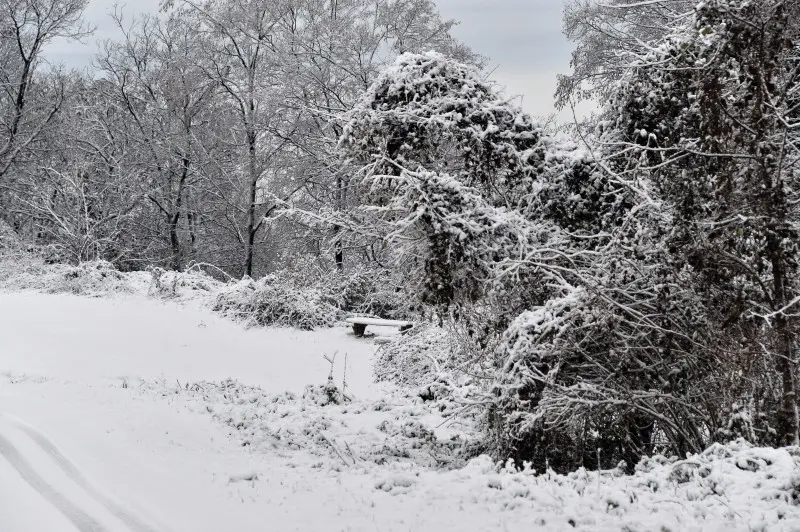 Neve in Maddalena