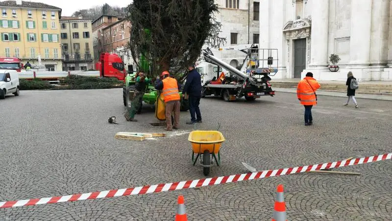 Piazza Paolo VI, torna l'albero di Natale