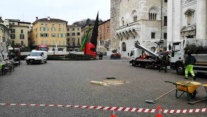 Piazza Paolo VI, torna l'albero di Natale