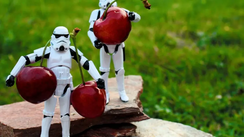 Gli inglesi chiamano cherry picking (raccogliere le ciliegie) la tecnica del «rubarsi» i tecnici