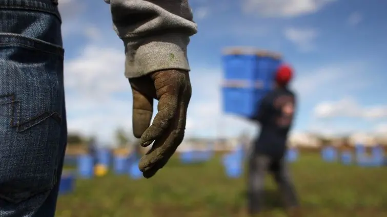Nell'ambito della lotta al caporalato il Nucleo Carabinieri Ispettorato del Lavoro di Brescia ha ispezionato 28 aziende vitivinicole e aziende agricole