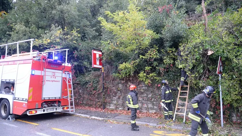 Gli interventi dei vigili del fuoco