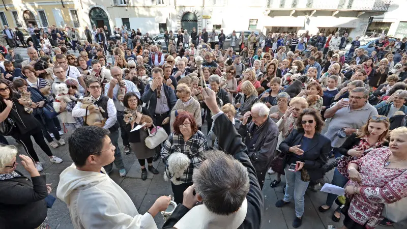 Benedizione degli animali a San Francesco