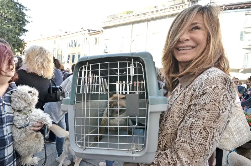 Benedizione degli animali a San Francesco