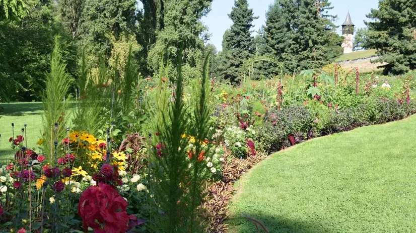 Mainau, l'isola-giardino del Lago di Costanza