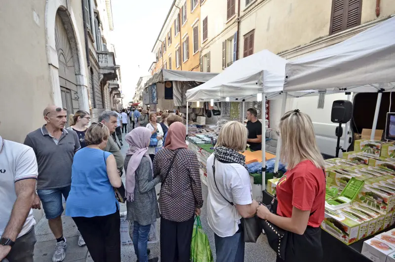 Fiera delle Grazie in città