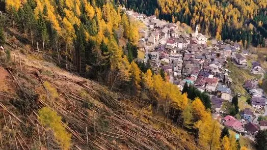 La ferita provocata dal vento nel bosco di Pezzo