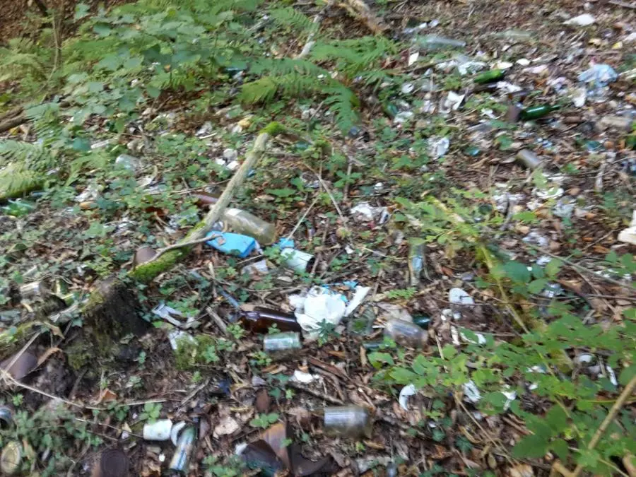 I rifiuti nel bosco sopra Tignale