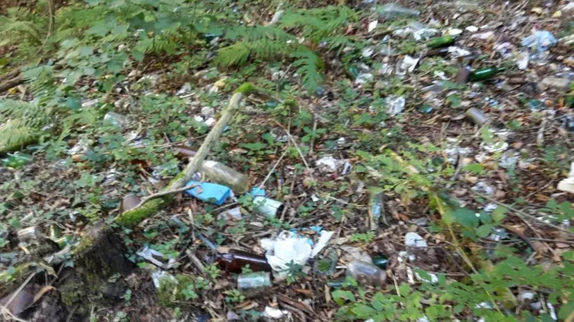 I rifiuti nel bosco sopra Tignale