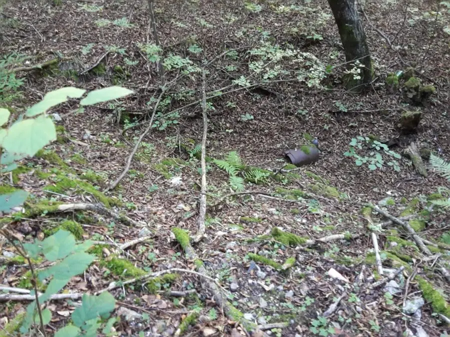 I rifiuti nel bosco sopra Tignale