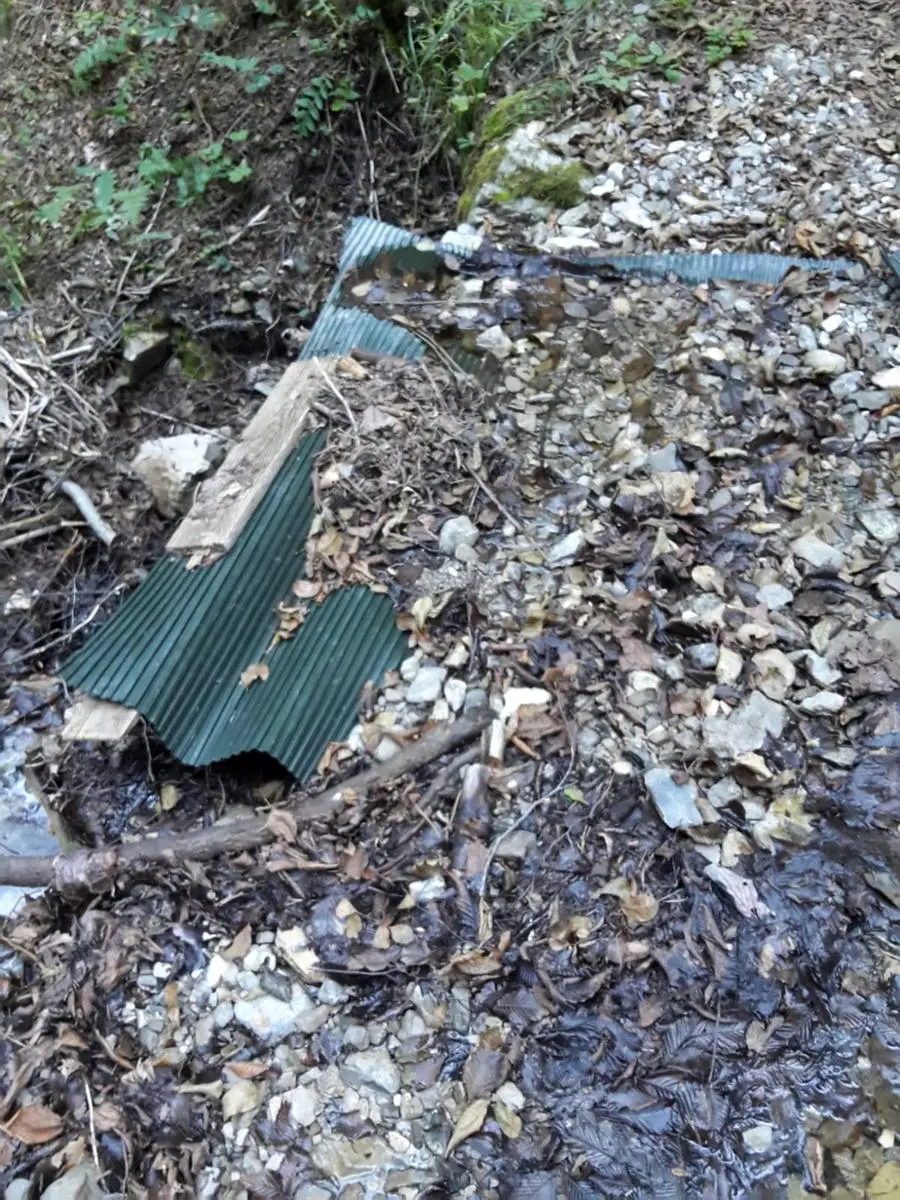 I rifiuti nel bosco sopra Tignale