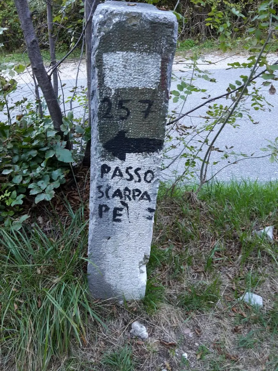 I rifiuti nel bosco sopra Tignale