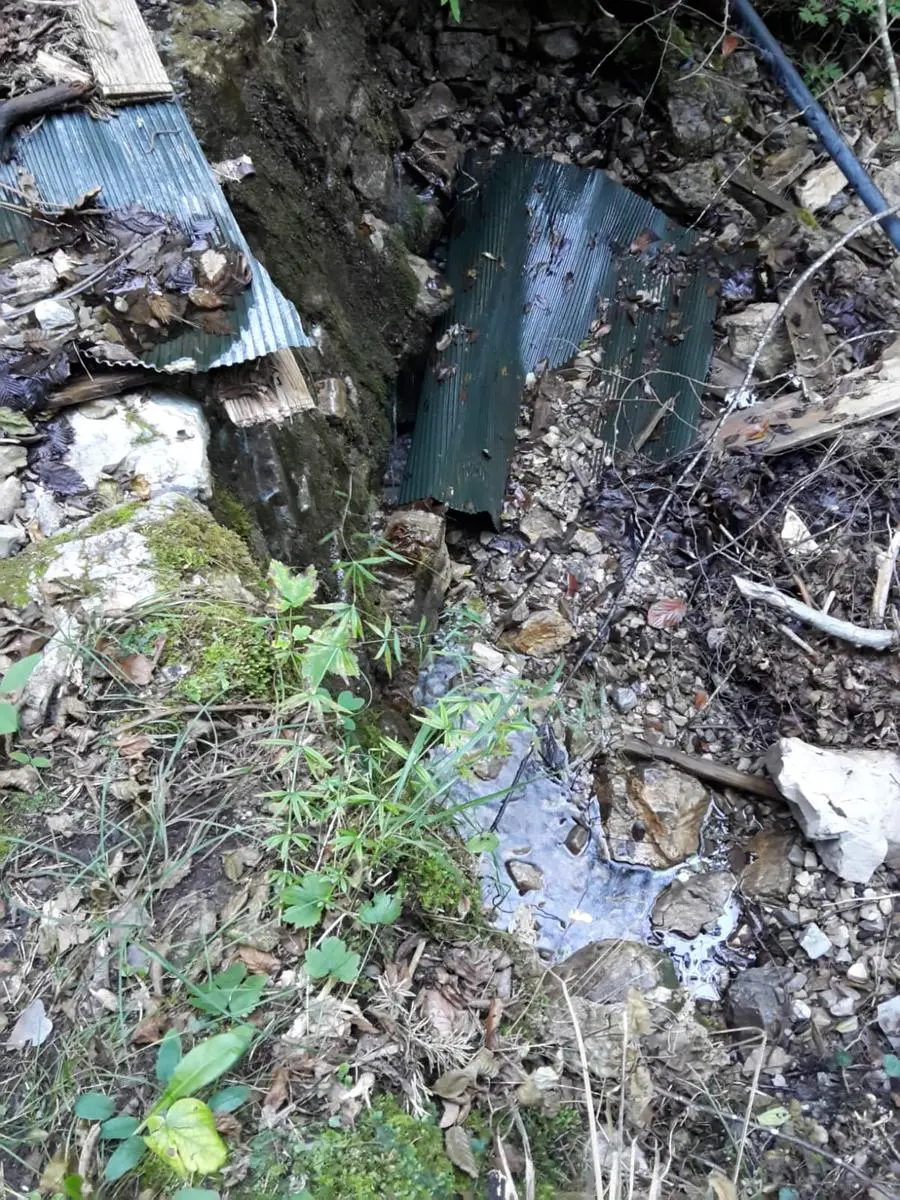 I rifiuti nel bosco sopra Tignale