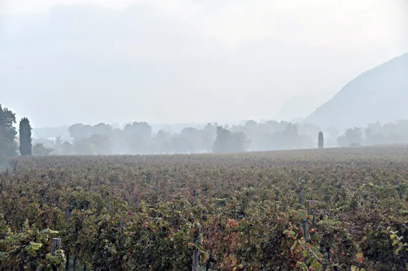 Prima nebbia dell'anno sul Bresciano stamane - Foto Putelli/Neg © www.giornaledibrescia.it