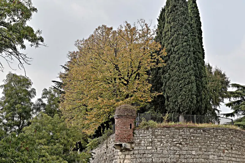 La città si veste d'Autunno -    Foto Pierre Putelli/Neg © www.giornaledibrescia.it