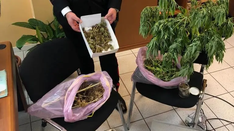 Tre etti di marijuana nella rete dell'Arma