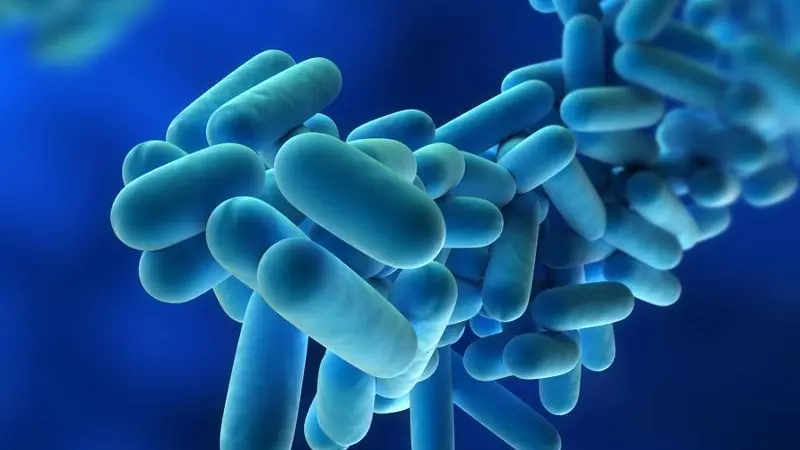 Il batterio della Legionella