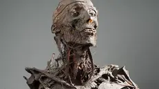 Una delle «mummie» realizzate da Giovan Battista Rini