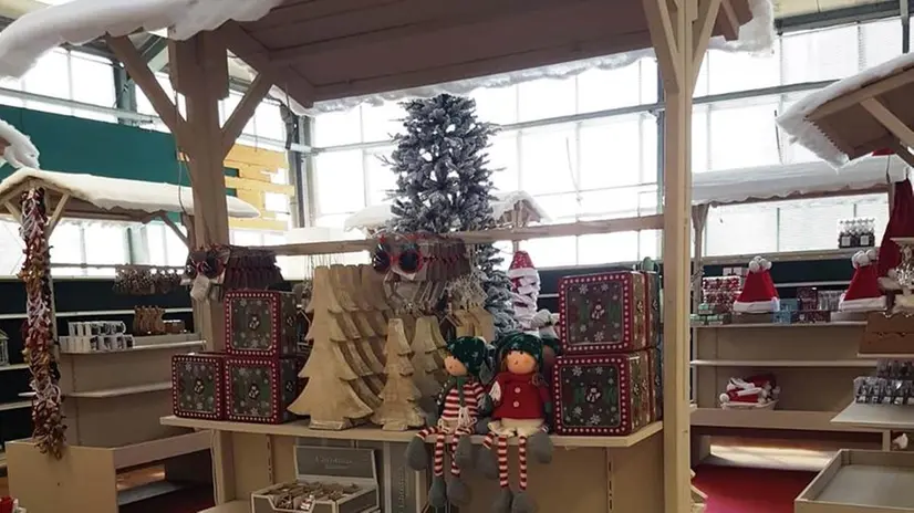 Natale a settembre in Giardineria