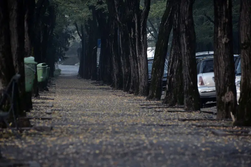 Prima nebbia dell'anno sul Bresciano stamane - Foto Putelli/Neg © www.giornaledibrescia.it