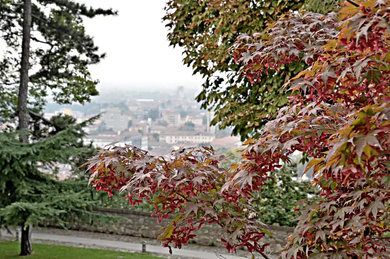 La città si veste d'Autunno -    Foto Pierre Putelli/Neg © www.giornaledibrescia.it