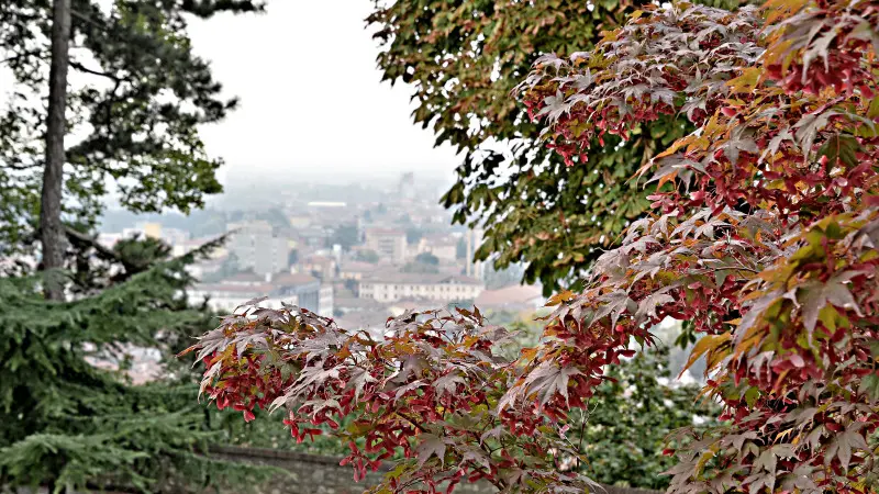 La città si veste d'Autunno -    Foto Pierre Putelli/Neg © www.giornaledibrescia.it