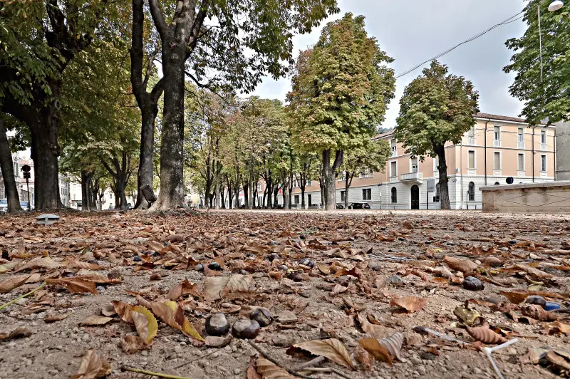 La città si veste d'Autunno -    Foto Pierre Putelli/Neg © www.giornaledibrescia.it