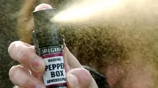 Ha usato in classe lo spray urticante - © www.giornaledibrescia.it