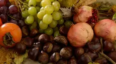 La frutta d'autunno si è ritagliata una nicchia economica nel Bresciano - © www.giornaledibrescia.it