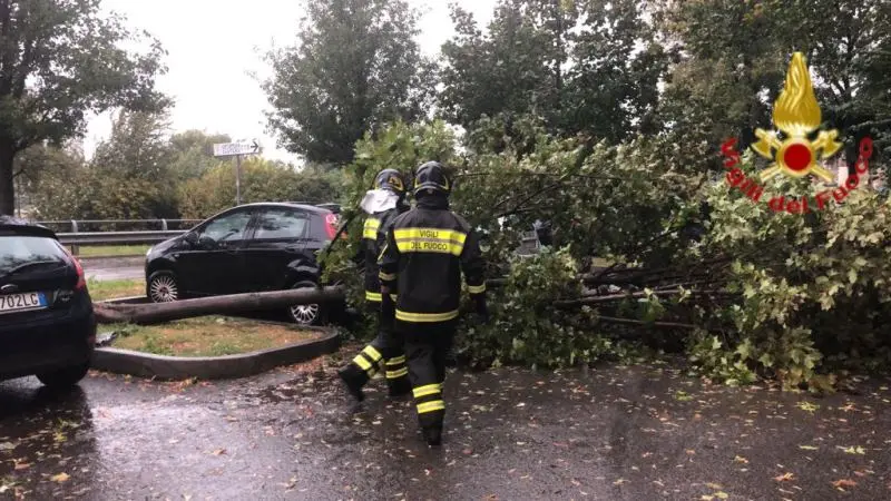 Alberi abbattuti e auto danneggiate