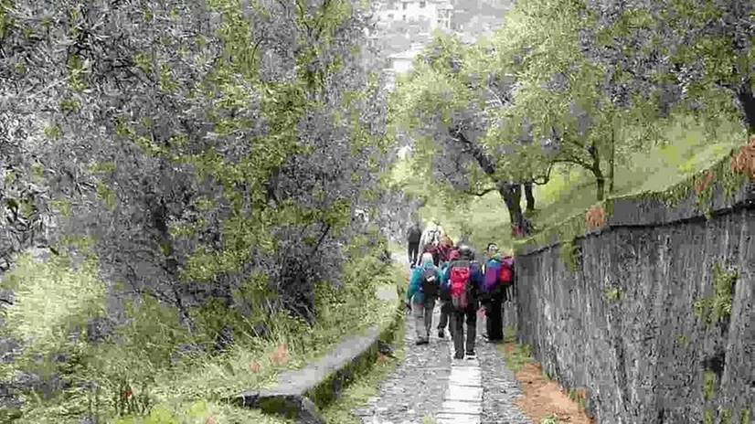 Nella natura. Attenzione ai percorsi naturalistici nel verde