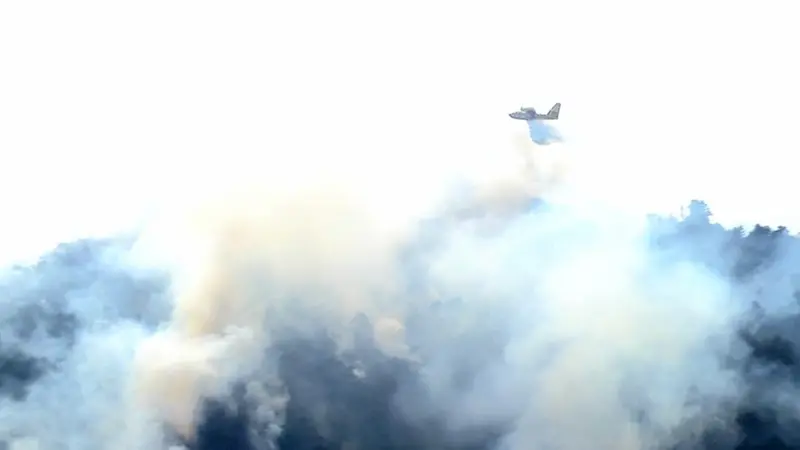 L'incendio a Tremosine