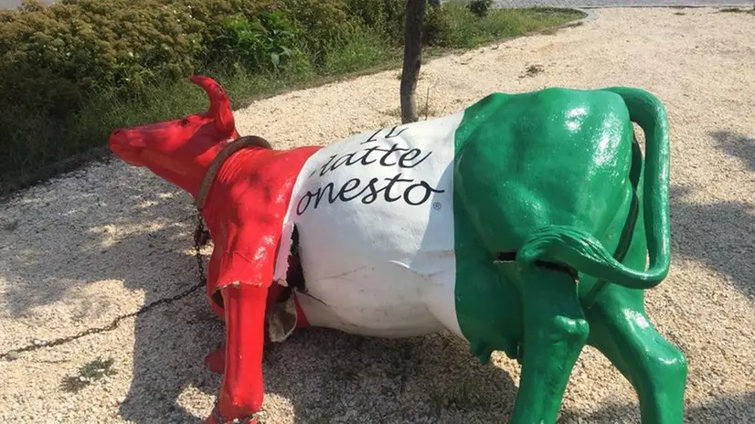 La mucca tricolore presa di mira da ignoti