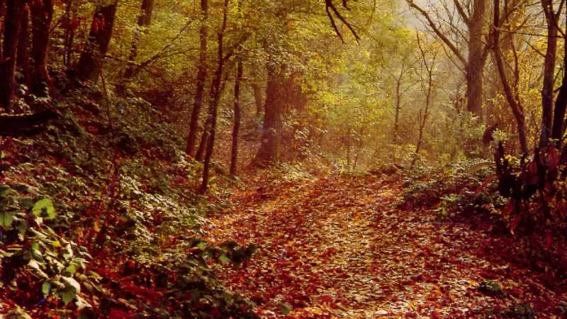 Pioggia e freddo: un assaggio di autunno in questo inizio di settembre - Foto © www.giornaledibrescia.it