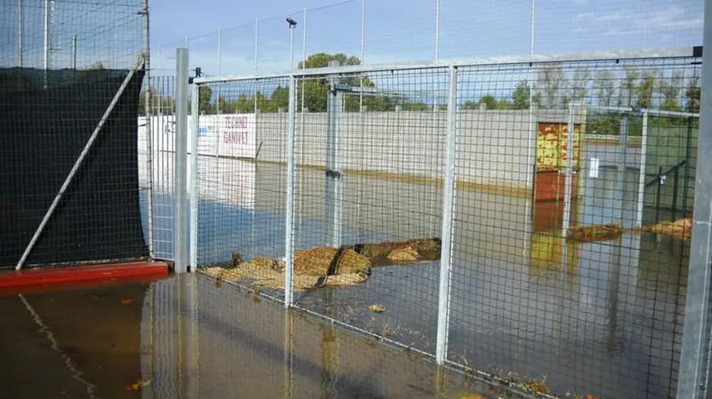 Il Mella porta un pesce siluro al campo sportivo  © www.giornaledibrescia.it