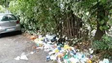 Distesa. I rifiuti abbandonati a Gargnano deturpano la località «Oliveto» - © www.giornaledibrescia.it