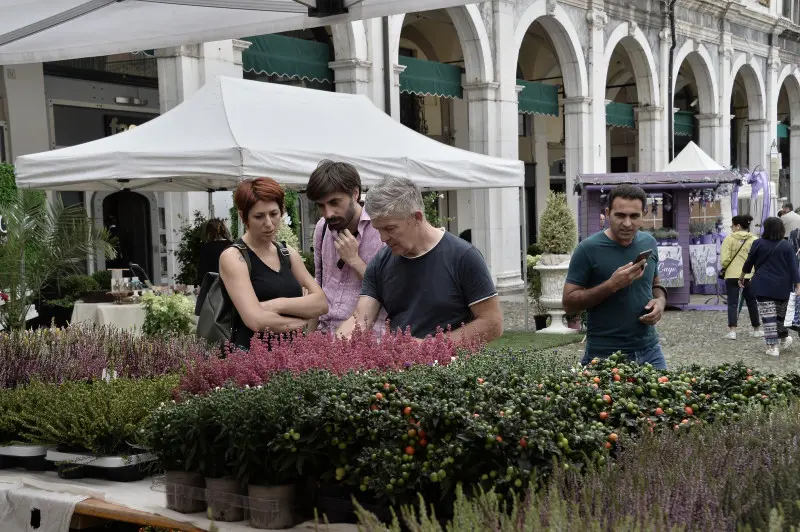 Fiorinsieme trasforma piazza Loggia in un giardino