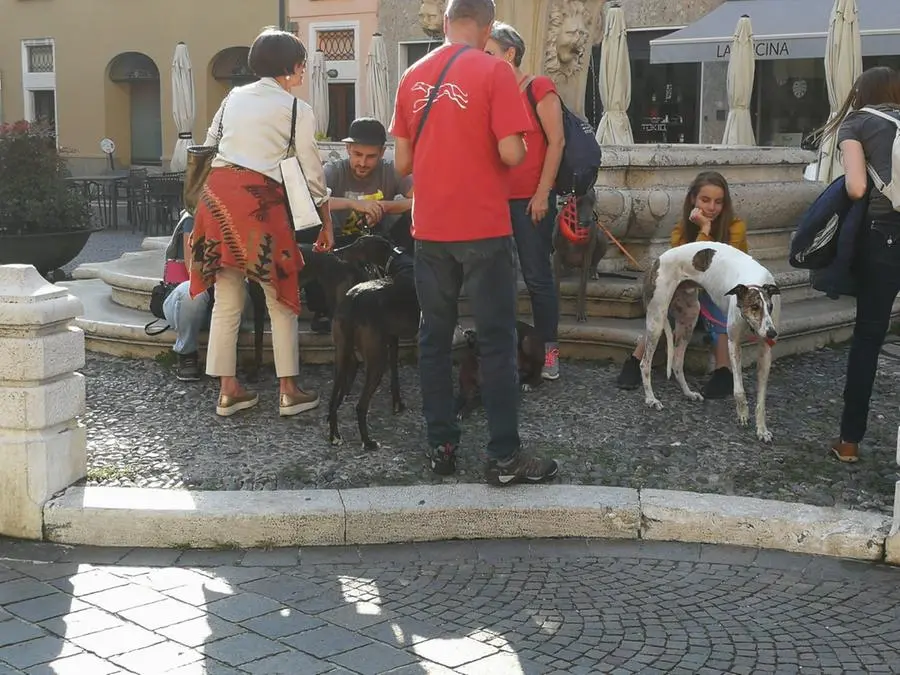Levrieri in piazza Paolo VI, per la passeggiata di sensibilizzazione